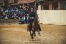Palio Straordinario: la fotogallery delle Prove di Addestramento Mattutine